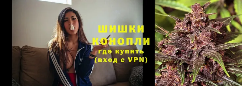 Конопля SATIVA & INDICA  Судогда 